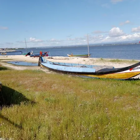 Navio Apartman